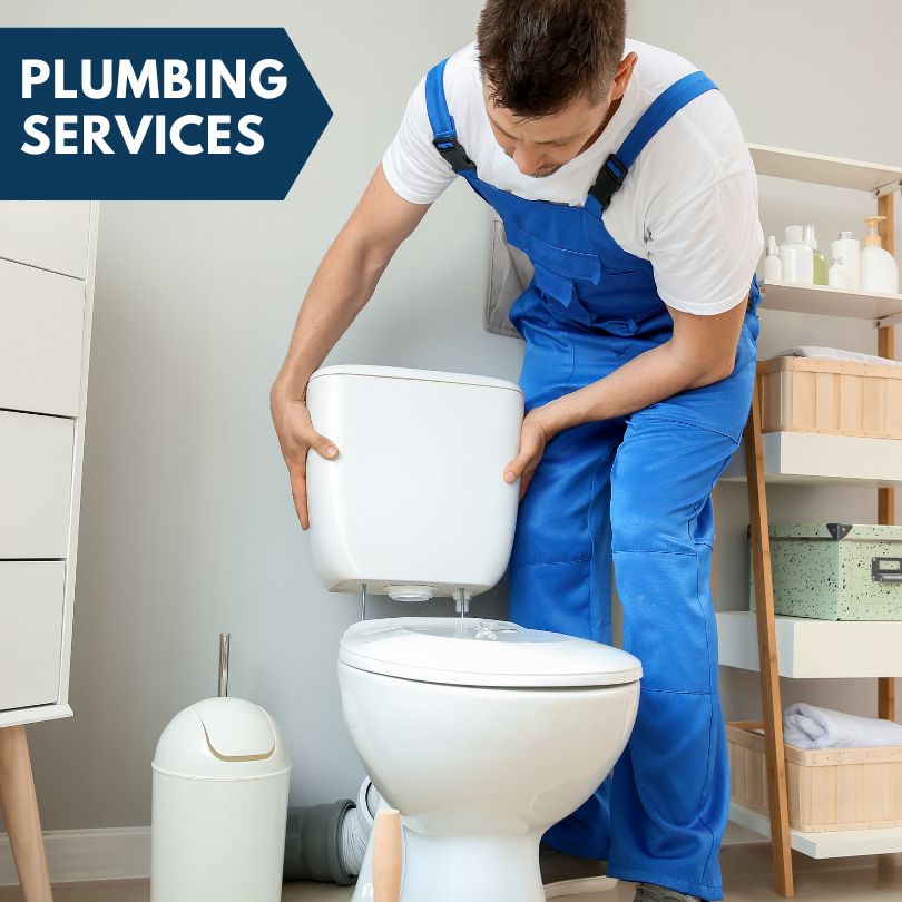 Plumbing Company in Tuscarora, NV